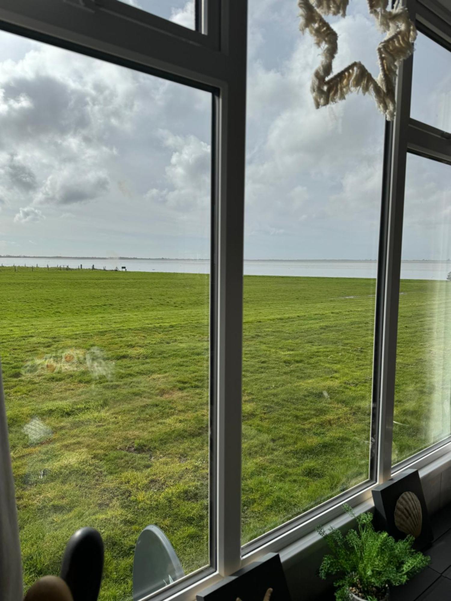 Prachtig De Zee Ster *