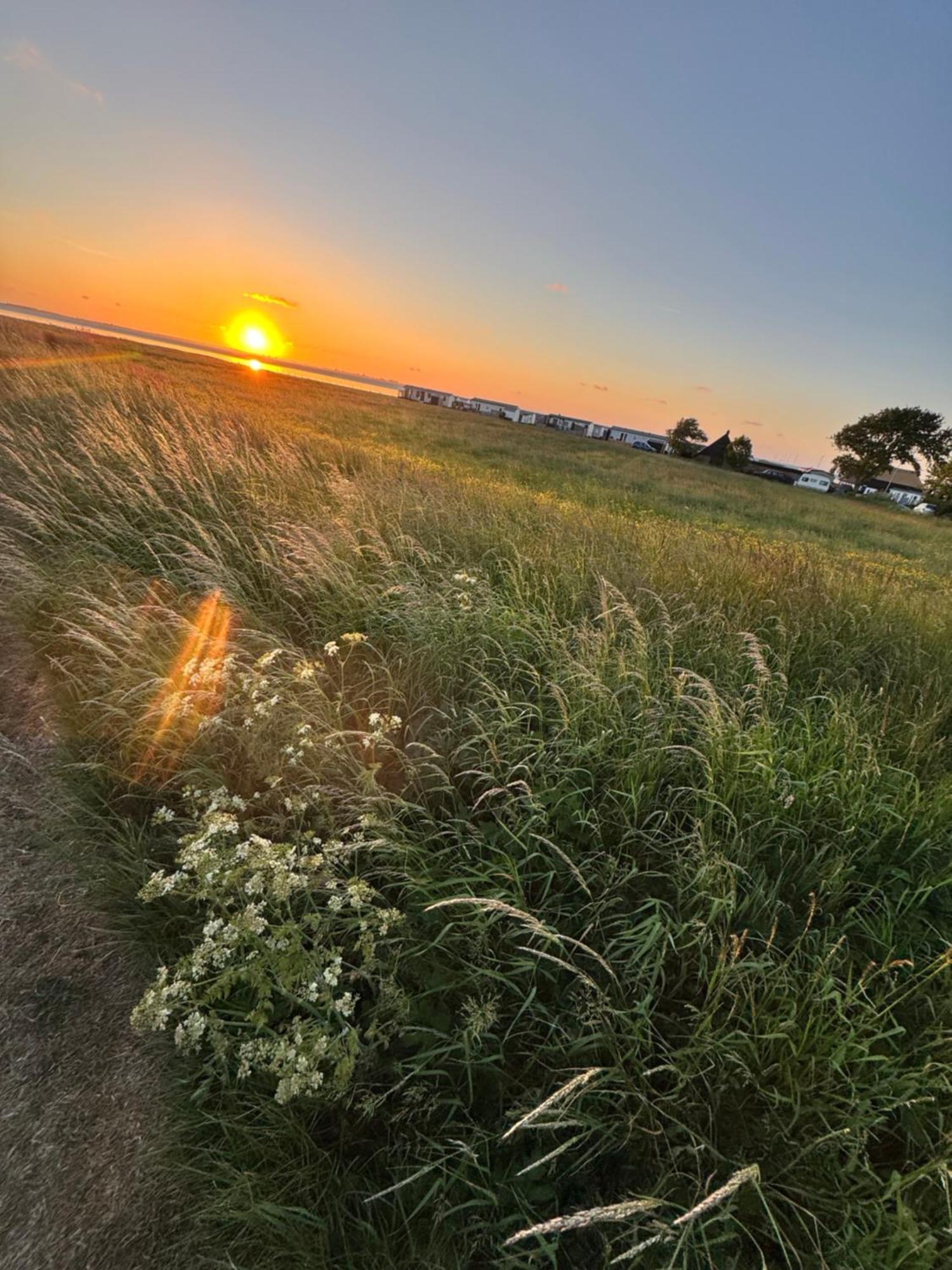 Camping Prachtig De Zee Ster